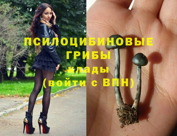 спайс Верея